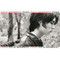 Rufus Wainwright image